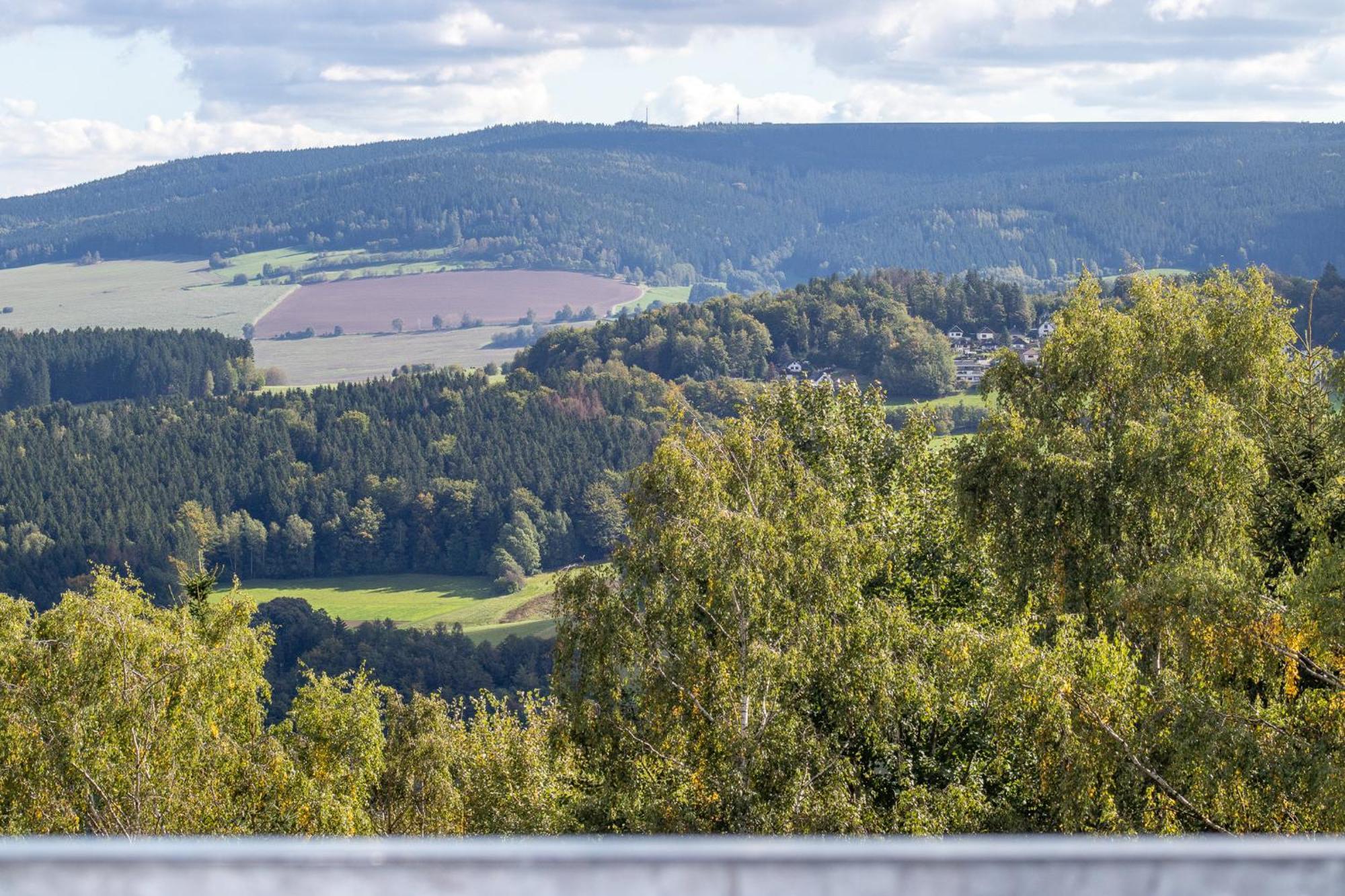 Apartment Bergliebe I Balkon I Aufzug I Stellplatz Schwarzenberg  Eksteriør billede